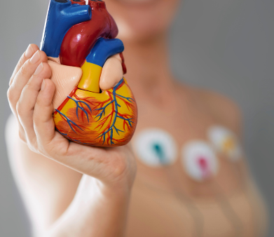 cardiology