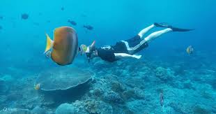 Snorkeling di Wisata Nusa Penida